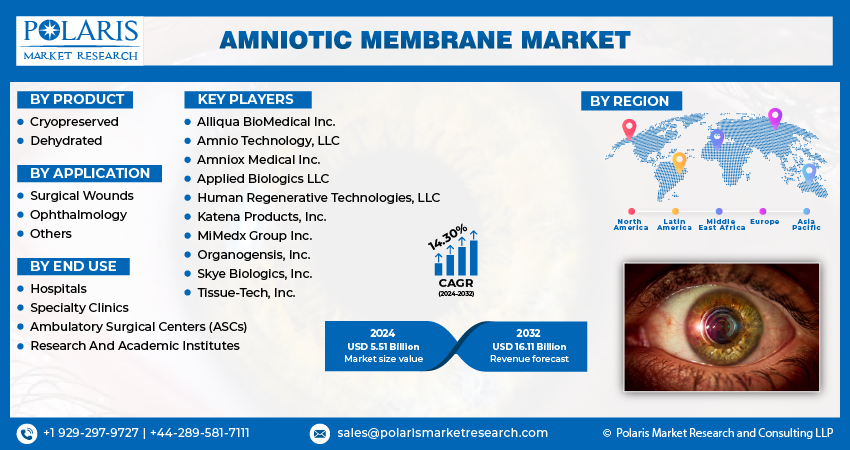 Amniotic Membrane Market Size